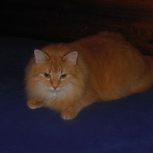 Meet your Posher, Beverly